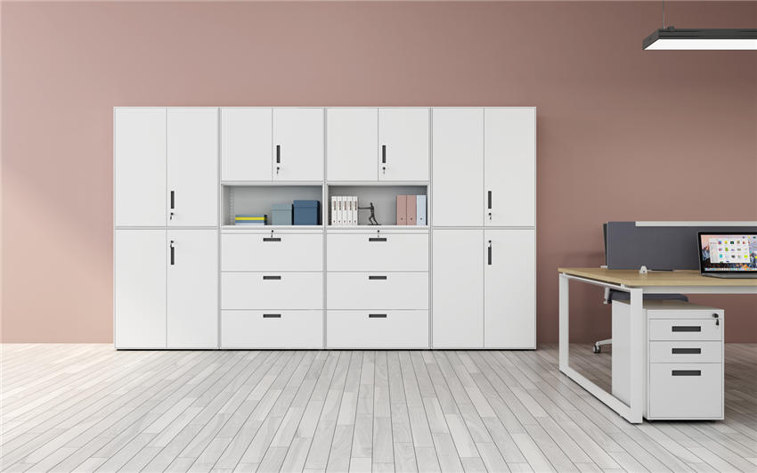 文件柜定制 文件柜定制