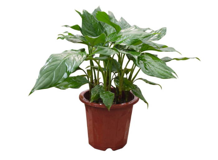 1559717926592710.png image.png